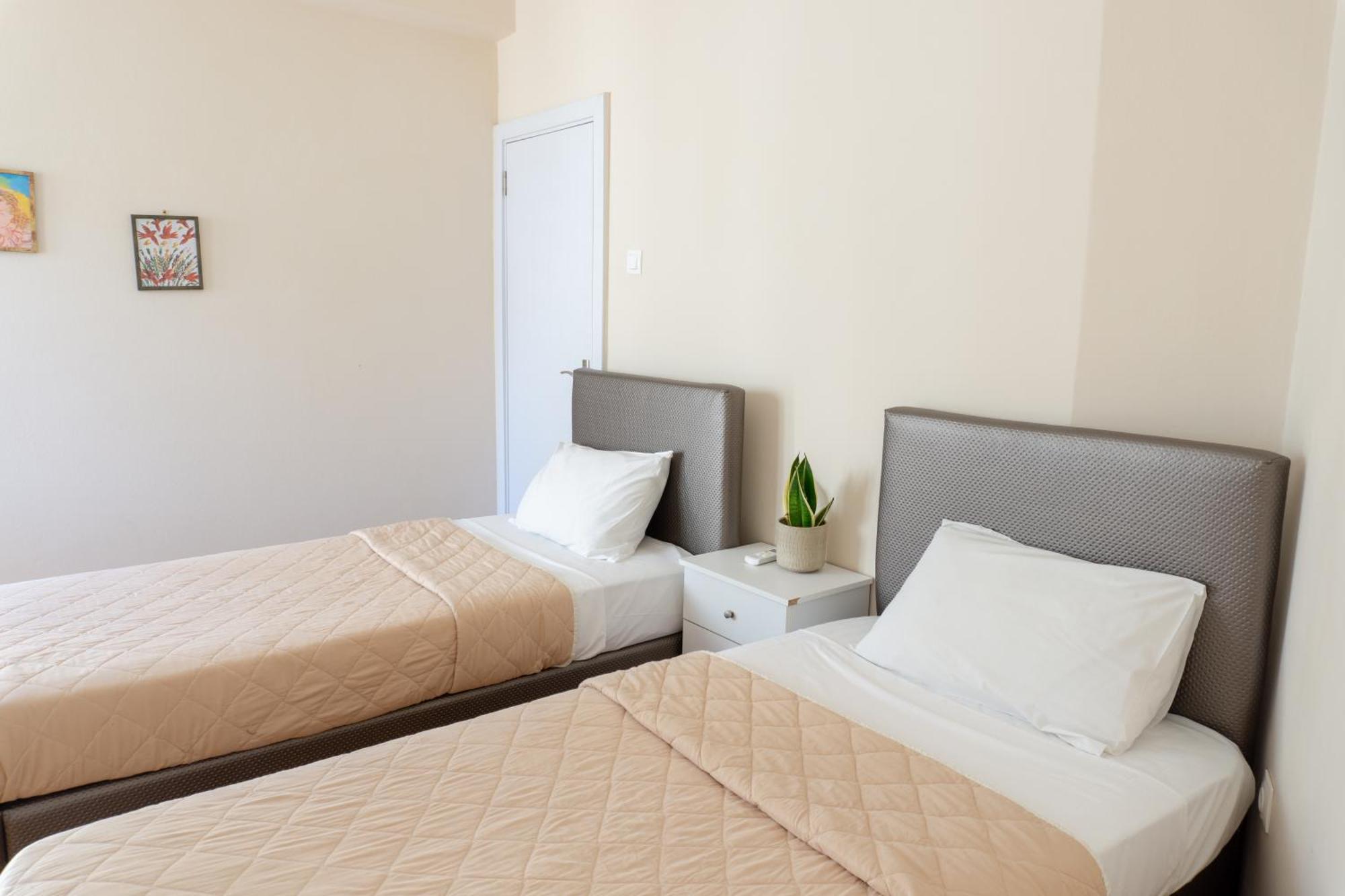 Cozy Apartment In Pangrati Area! Athen Eksteriør billede